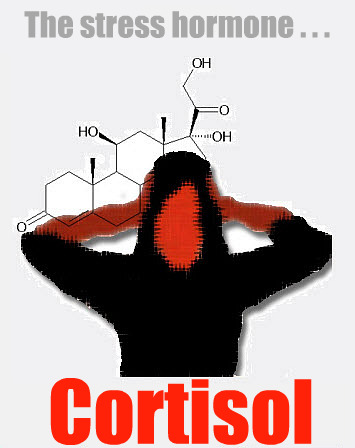 Cortisol