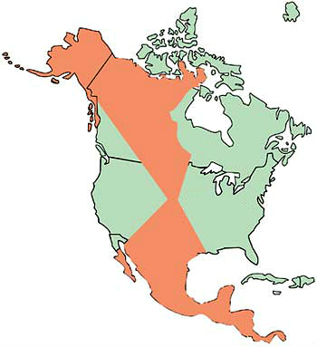 Where do whooping cranes live?