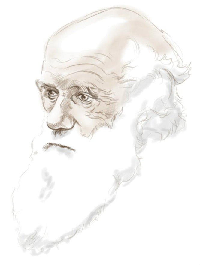 darwin_sketch_by_crawford_hazle-d39kj8s2