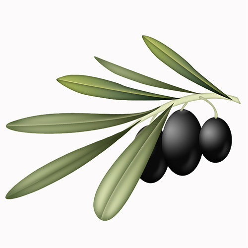 Olives__olive_branch_by_weberica