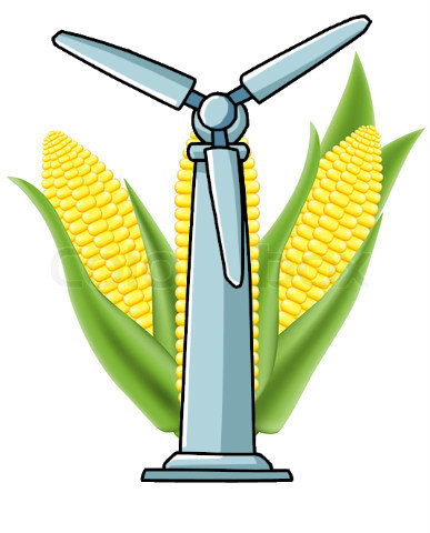 corn illustration isolated on white background