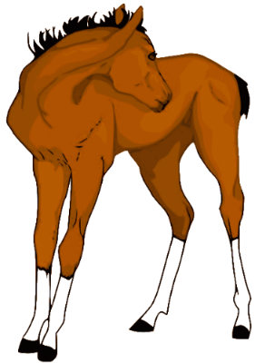 foal2