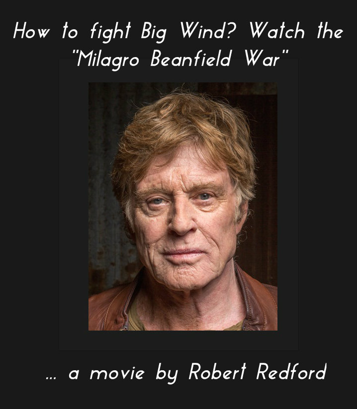 Redford2