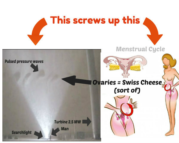 swiss cheese ovaries2